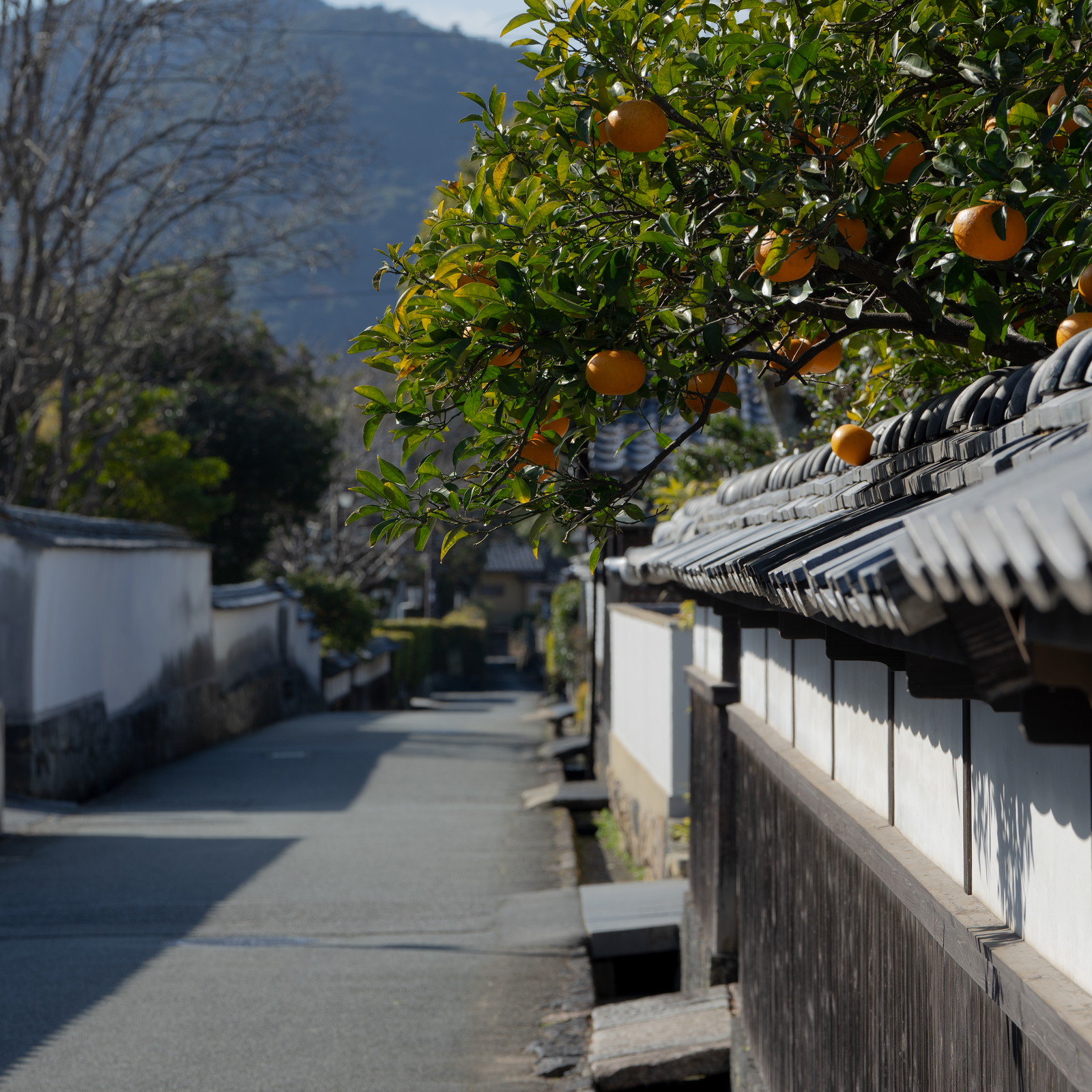 Yamaguchi Prefecture