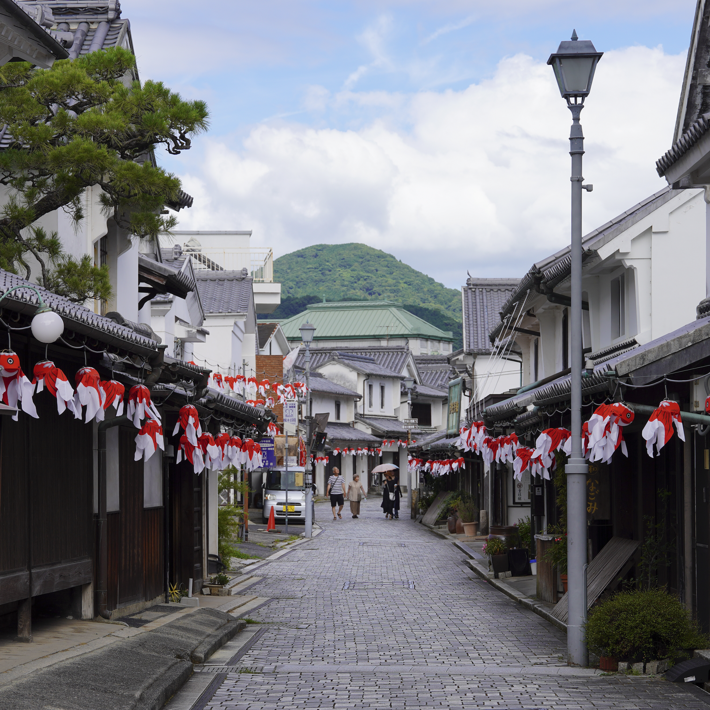 Kashido Selection (1 month)